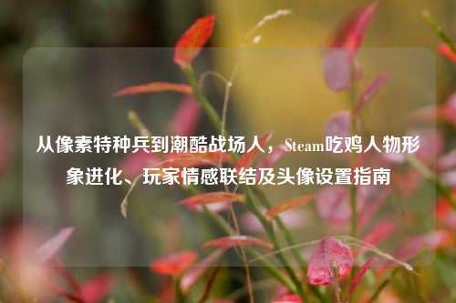 从像素特种兵到潮酷战场人,Steam吃鸡人物形象进化、玩家情感联结及头像设置指南