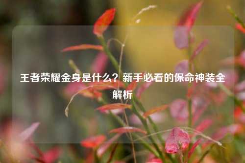 王者荣耀金身是什么？新手必看的保命神装全解析