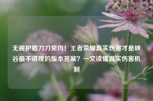 无视护盾刀刀见肉!王者荣耀真实伤害才是峡谷最不讲理的版本答案?一文读懂真实伤害机制
