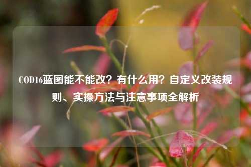 COD16蓝图能不能改?有什么用?自定义改装规则、实操方法与注意事项全解析