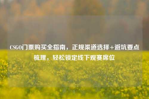 CSGO门票购买全指南,正规渠道选择+避坑要点梳理,轻松锁定线下观赛席位