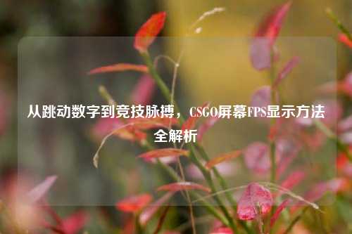 从跳动数字到竞技脉搏，CSGO屏幕FPS显示方法全解析