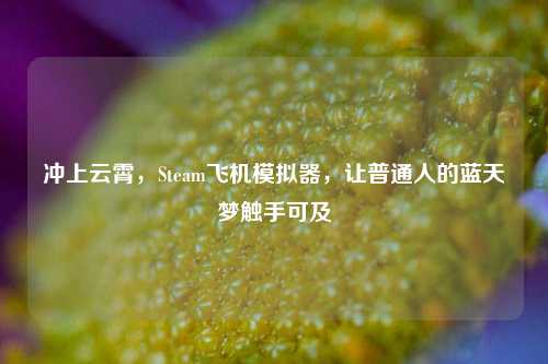 冲上云霄,Steam飞机模拟器,让普通人的蓝天梦触手可及