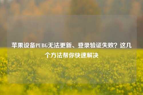 苹果设备PUBG无法更新、登录验证失败?这几个方法帮你快速解决