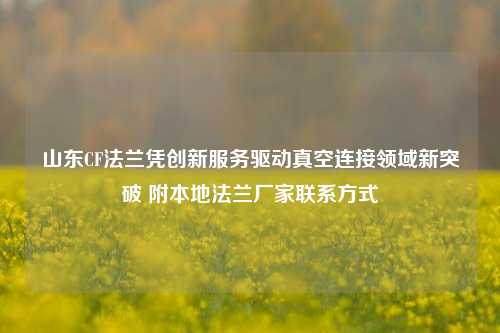 山东CF法兰凭创新服务驱动真空连接领域新突破 附本地法兰厂家联系方式