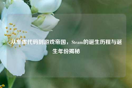从车库代码到游戏帝国,Steam的诞生历程与诞生年份揭秘