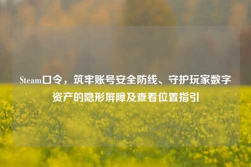 Steam口令,筑牢账号安全防线、守护玩家数字资产的隐形屏障及查看位置指引