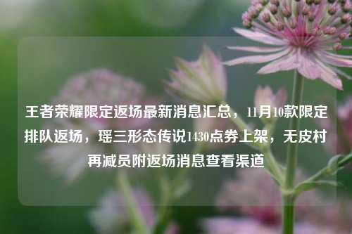王者荣耀限定返场最新消息汇总，11月10款限定排队返场，瑶三形态传说1430点券上架，无皮村再减员附返场消息查看渠道