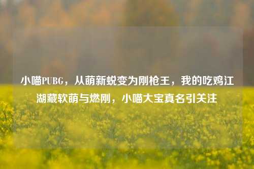 小喵PUBG，从萌新蜕变为刚枪王，我的吃鸡江湖藏软萌与燃刚，小喵大宝真名引关注