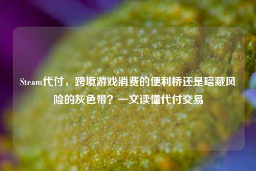 Steam代付，跨境游戏消费的便利桥还是暗藏风险的灰色带？一文读懂代付交易