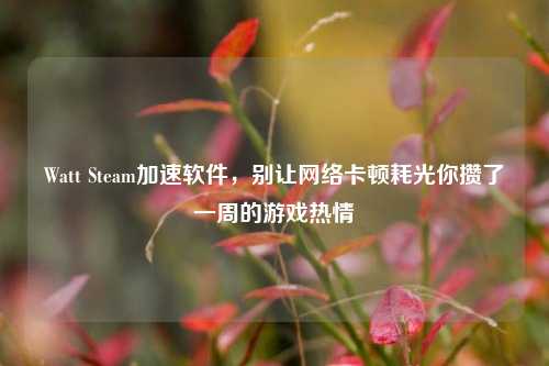 Watt Steam加速软件，别让网络卡顿耗光你攒了一周的游戏热情