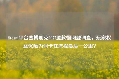 Steam平台赛博朋克2077退款慢问题调查，玩家权益保障为何卡在流程最后一公里？