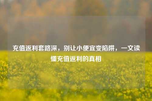 充值返利套路深,别让小便宜变陷阱,一文读懂充值返利的真相