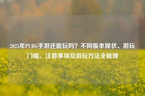 2025年PUBG手游还能玩吗?不同版本现状、游玩门槛、注意事项及游玩方法全梳理