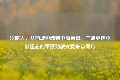 沙陀人,从西域边鄙到中原帝胄,三朝更迭中被遗忘的草原劲旅究竟来自何方