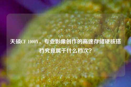 天硕CF 1000X,专业影像创作的高速存储硬核搭档究竟属于什么档次?