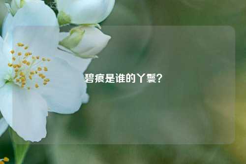 碧痕是谁的丫鬟?