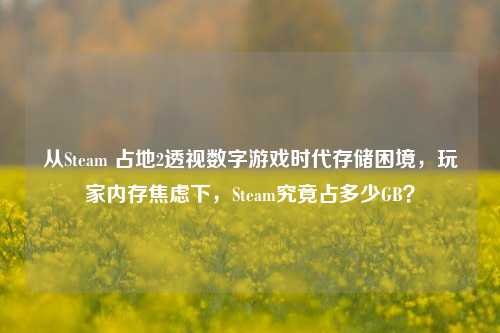 从Steam 占地2透视数字游戏时代存储困境,玩家内存焦虑下,Steam究竟占多少GB?
