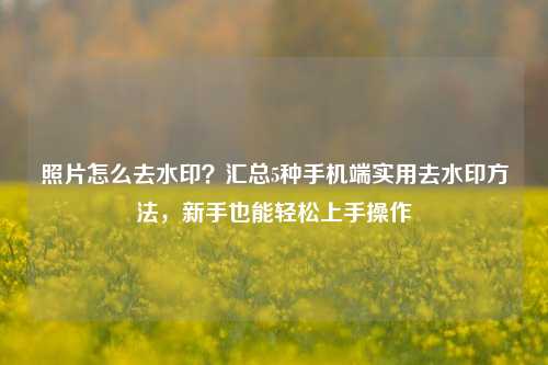 照片怎么去水印？汇总5种手机端实用去水印方法，新手也能轻松上手操作
