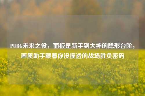 PUBG未来之役,面板是新手到大神的隐形台阶,画质助手藏着你没摸透的战场胜负密码