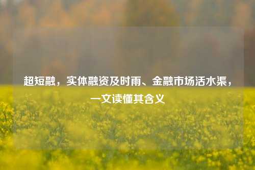 超短融,实体融资及时雨、金融市场活水渠,一文读懂其含义