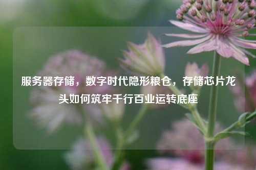 服务器存储,数字时代隐形粮仓,存储芯片龙头如何筑牢千行百业运转底座