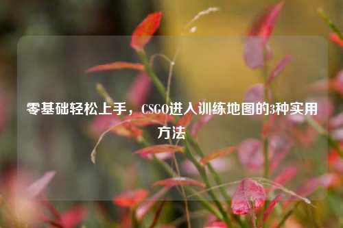 零基础轻松上手,CSGO进入训练地图的3种实用方法