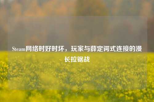 Steam网络时好时坏,玩家与薛定谔式连接的漫长拉锯战