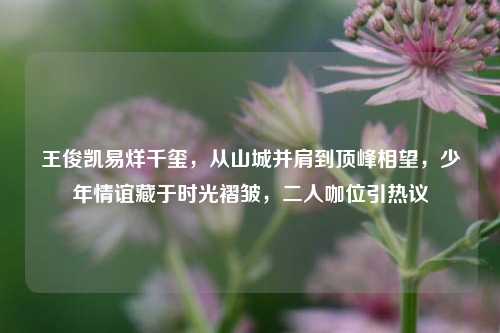 王俊凯易烊千玺,从山城并肩到顶峰相望,少年情谊藏于时光褶皱,二人咖位引热议