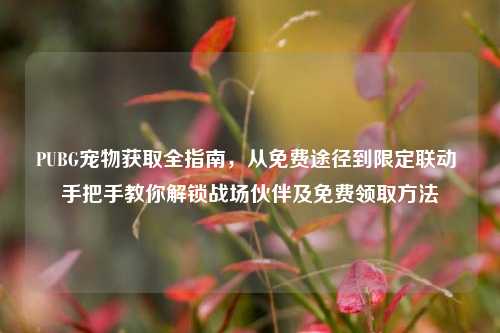 PUBG宠物获取全指南，从免费途径到限定联动 手把手教你解锁战场伙伴及免费领取方法