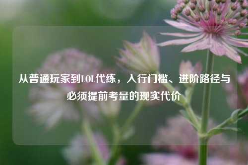 从普通玩家到LOL代练,入行门槛、进阶路径与必须提前考量的现实代价