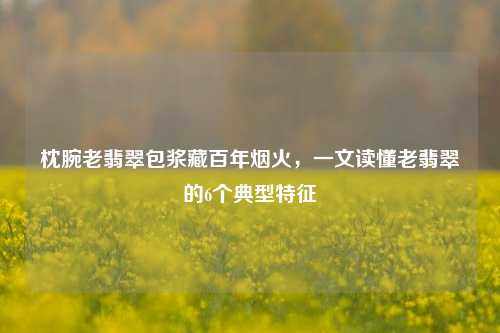 枕腕老翡翠包浆藏百年烟火,一文读懂老翡翠的6个典型特征