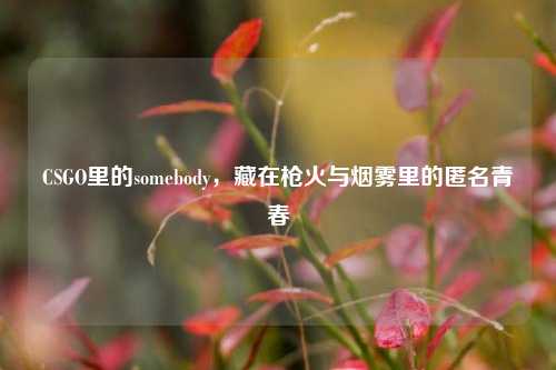 CSGO里的somebody,藏在枪火与烟雾里的匿名青春