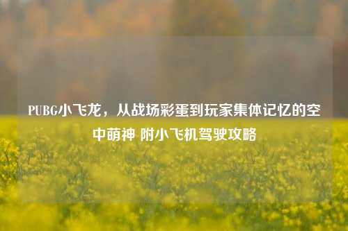 PUBG小飞龙,从战场彩蛋到玩家集体记忆的空中萌神 附小飞机驾驶攻略