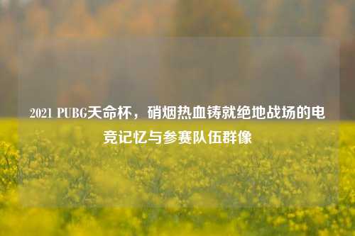 2021 PUBG天命杯，硝烟热血铸就绝地战场的电竞记忆与参赛队伍群像