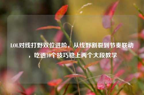 LOL对线打野双位进阶,从线野割裂到节奏联动,吃透10个技巧稳上两个大段教学
