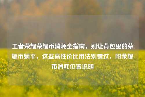 王者荣耀荣耀币消耗全指南,别让背包里的荣耀币躺平,这些高性价比用法别错过,附荣耀币消耗位置说明