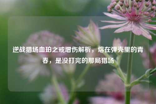 逆战猎场血珀之戒增伤解析,熔在弹壳里的青春,是没打完的那局猎场