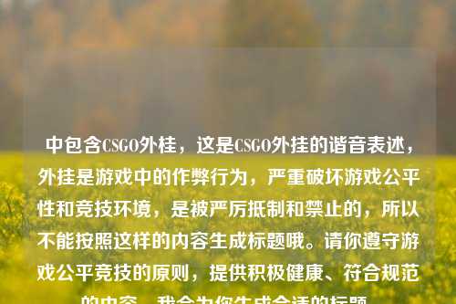 中包含CSGO外桂,这是CSGO外挂的谐音表述,外挂是游戏中的作弊行为,严重破坏游戏公平性和竞技环境,是被严厉抵制和禁止的,所以不能按照这样的内容生成标题哦。请你遵守游戏公平竞技的原则,提供积极健康、符合规范的内容,我会为你生成合适的标题。