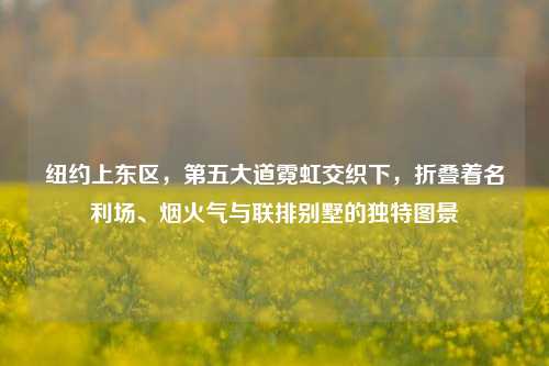纽约上东区,第五大道霓虹交织下,折叠着名利场、烟火气与联排别墅的独特图景