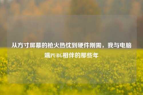 从方寸屏幕的枪火热忱到硬件刚需，我与电脑端PUBG相伴的那些年