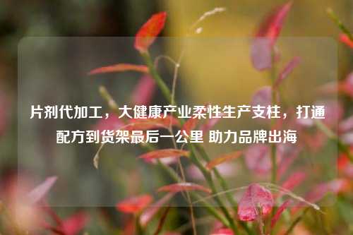 片剂代加工,大健康产业柔性生产支柱,打通配方到货架最后一公里 助力品牌出海