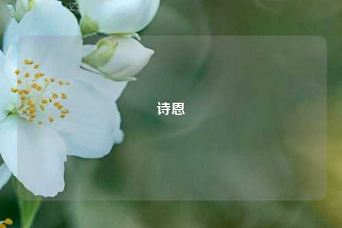 诗恩