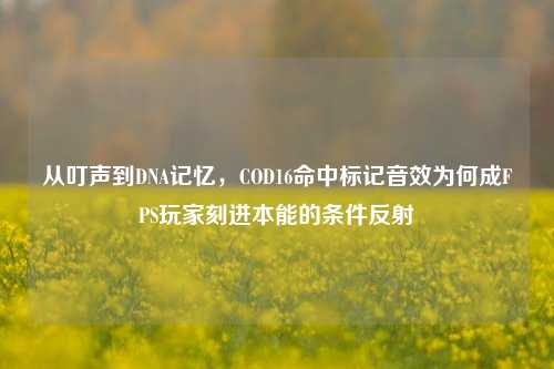 从叮声到DNA记忆,COD16命中标记音效为何成FPS玩家刻进本能的条件反射