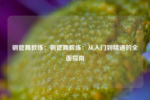 钢管舞教练:钢管舞教练:从入门到精通的全面指南