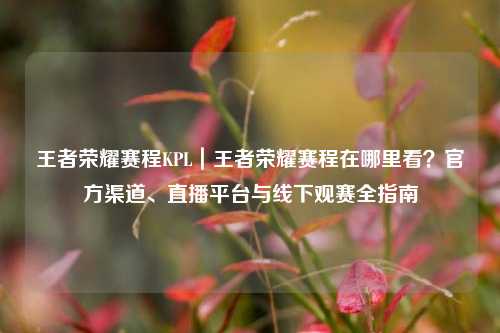 王者荣耀赛程KPL|王者荣耀赛程在哪里看?官方渠道、直播平台与线下观赛全指南