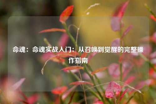 命魂：命魂实战入门：从召唤到觉醒的完整操作指南