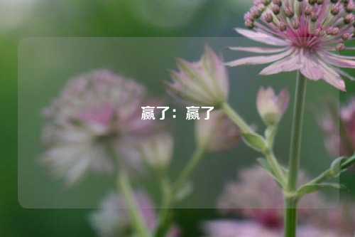 赢了:赢了