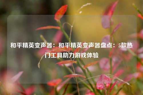 和平精英变声器:和平精英变声器盘点:5款热门工具助力游戏体验