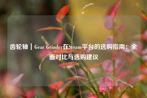 齿轮轴|Gear Grinder在Steam平台的选购指南:全面对比与选购建议